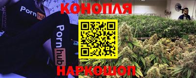 гашик Партизанск