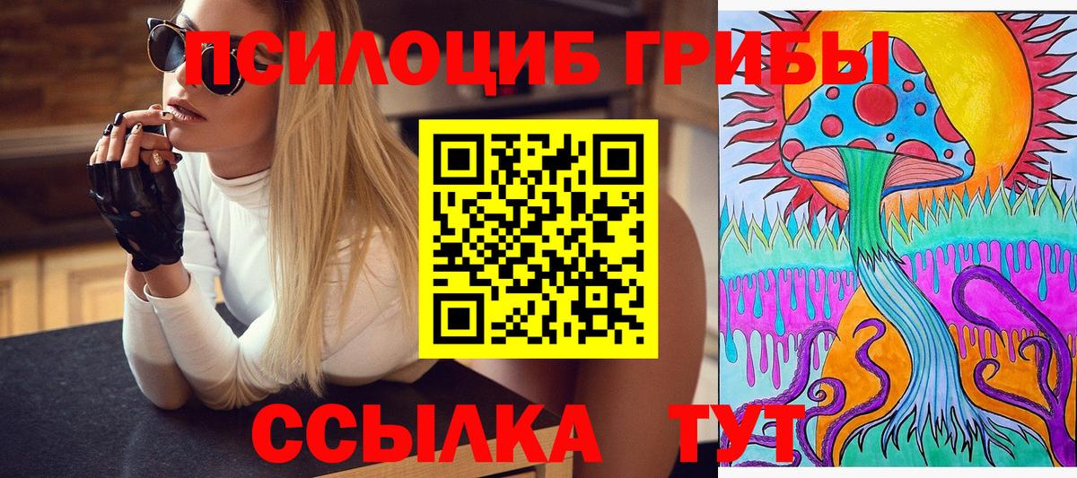 Галлюциногенные грибы Psilocybine cubensis Балашиха