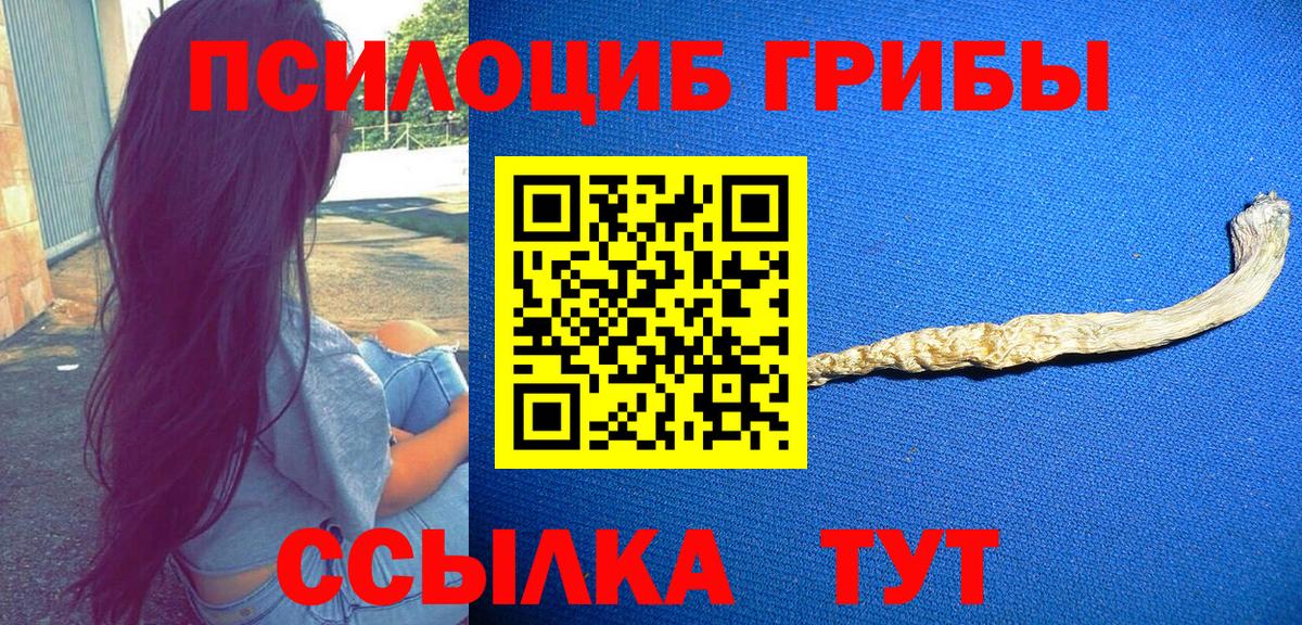 Галлюциногенные грибы мицелий  Вход с VPN  Галлюциногенные грибы Psilocybe  Балашиха 